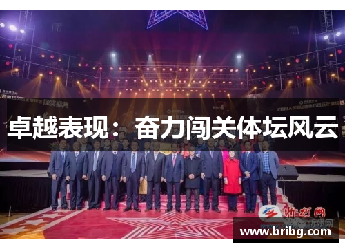 卓越表现：奋力闯关体坛风云